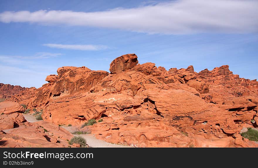 Desert landscape