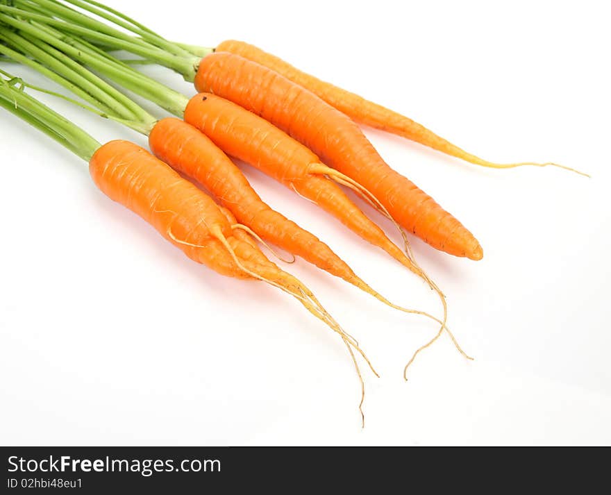 Fresh Carrots