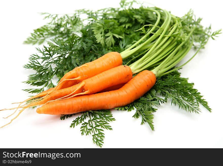 Fresh carrots