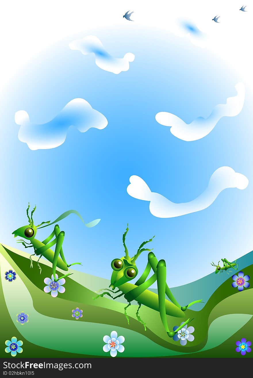 Grasshoppers