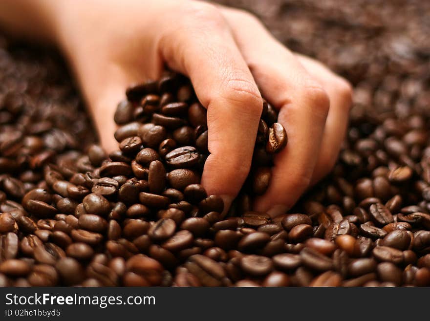 Hand holding coffee beans