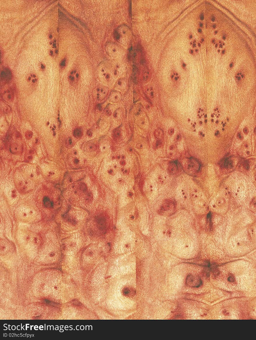 Wood Texture Background_camphor_40