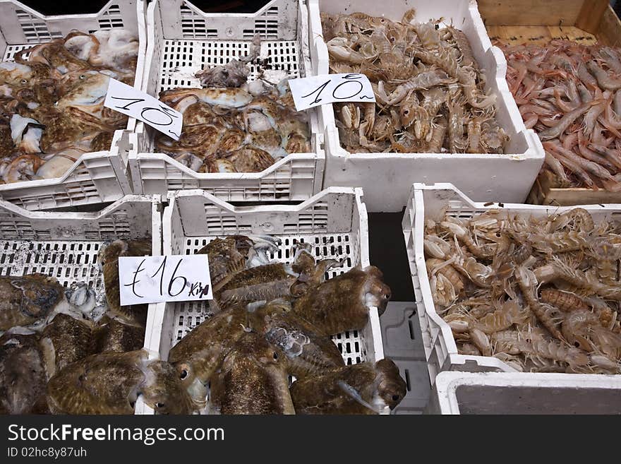 Display of goods to the fish market