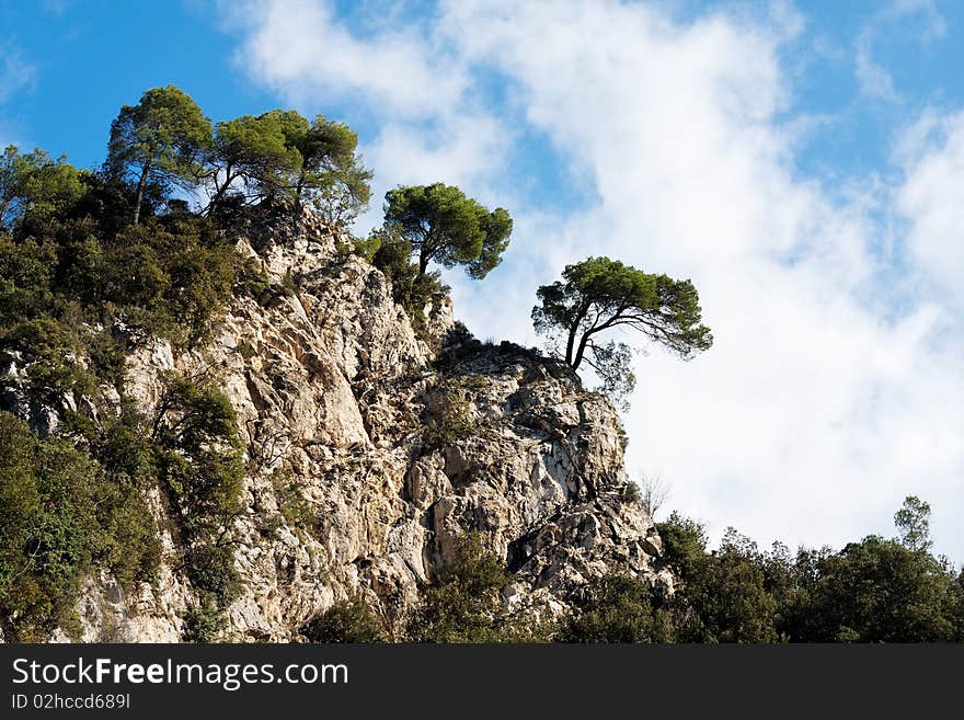 Italy, Trees on a Mountain Crest