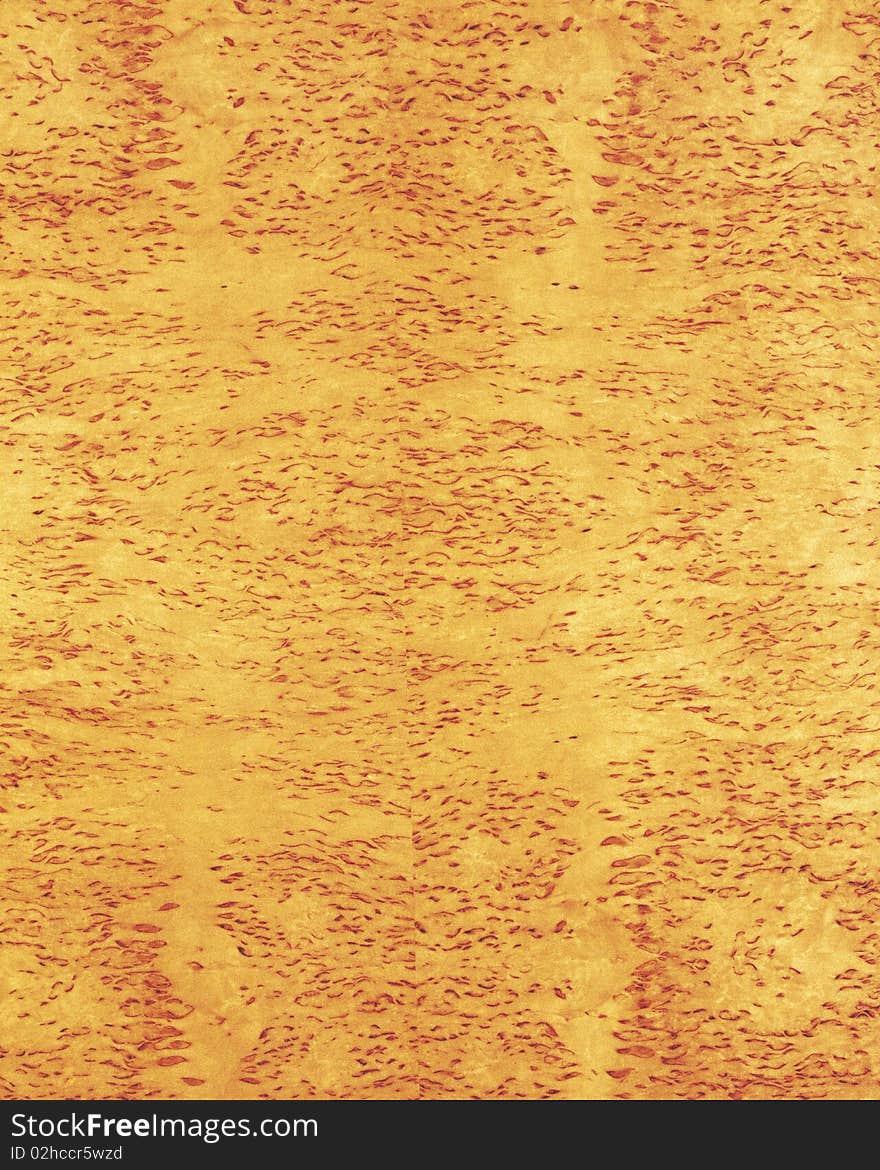 Wood Texture Background_masur Birch_23