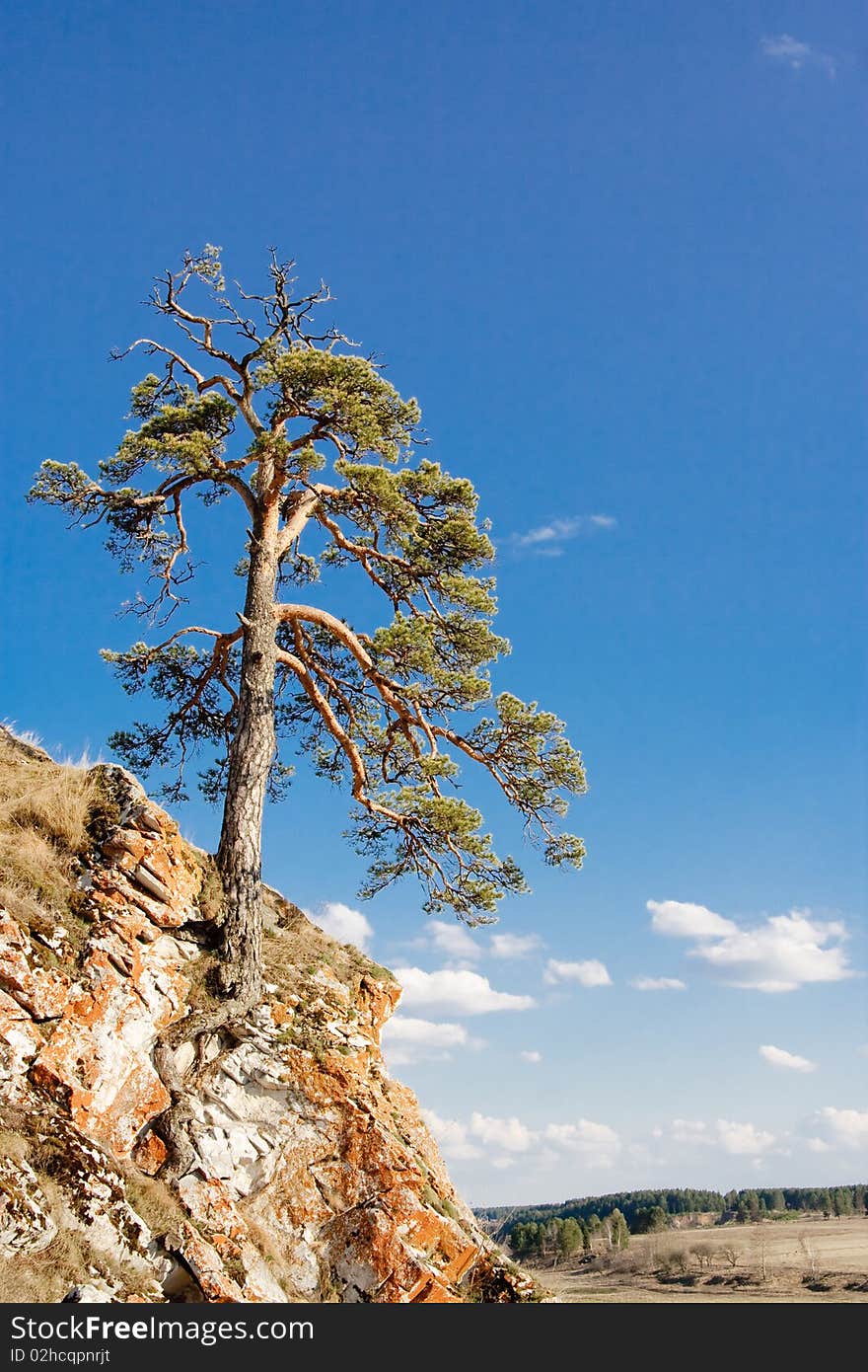 Beautiful rural landscape wit blue sky and tree