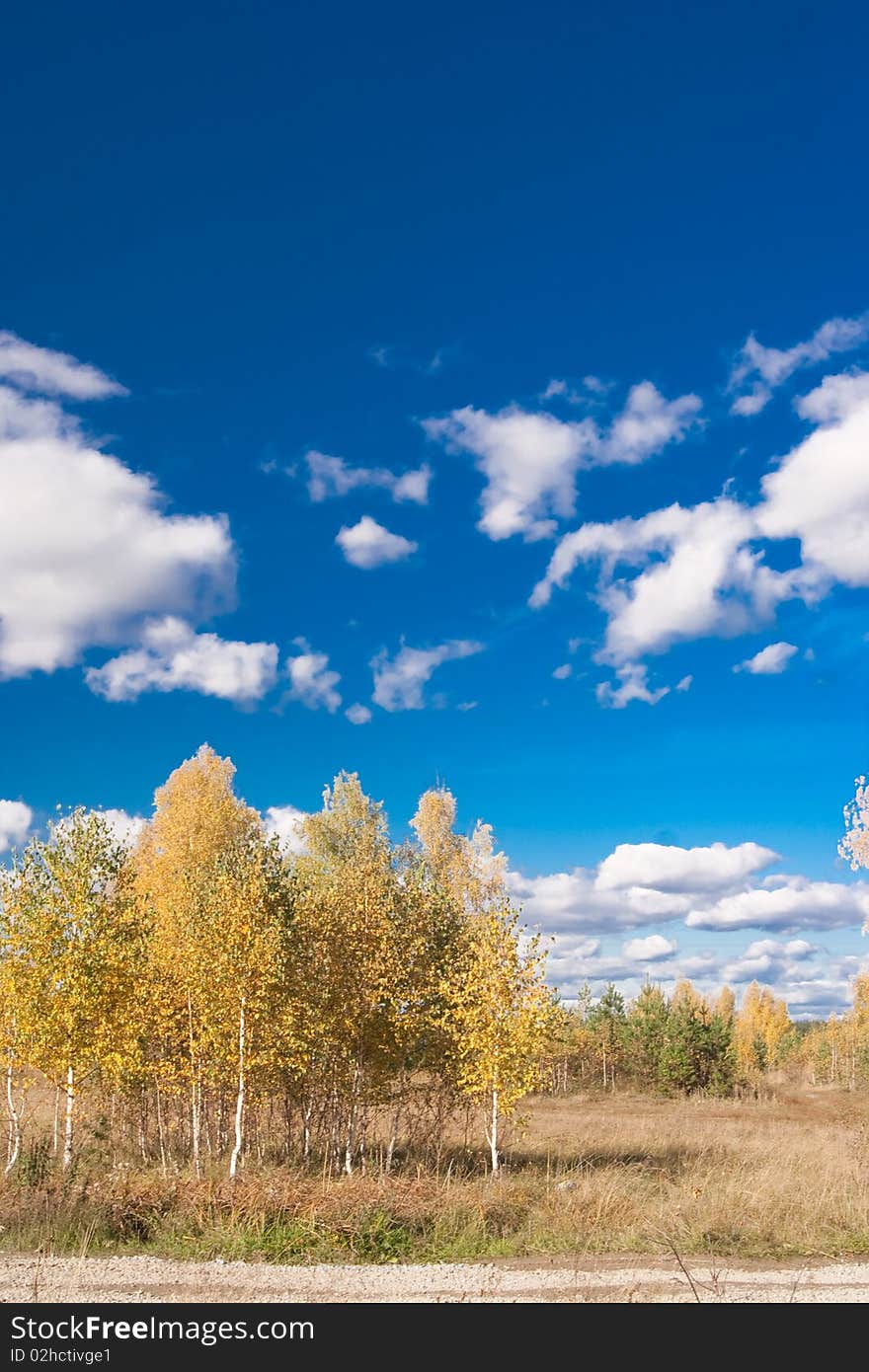 Beautiful rural landscape wit blue sky and river