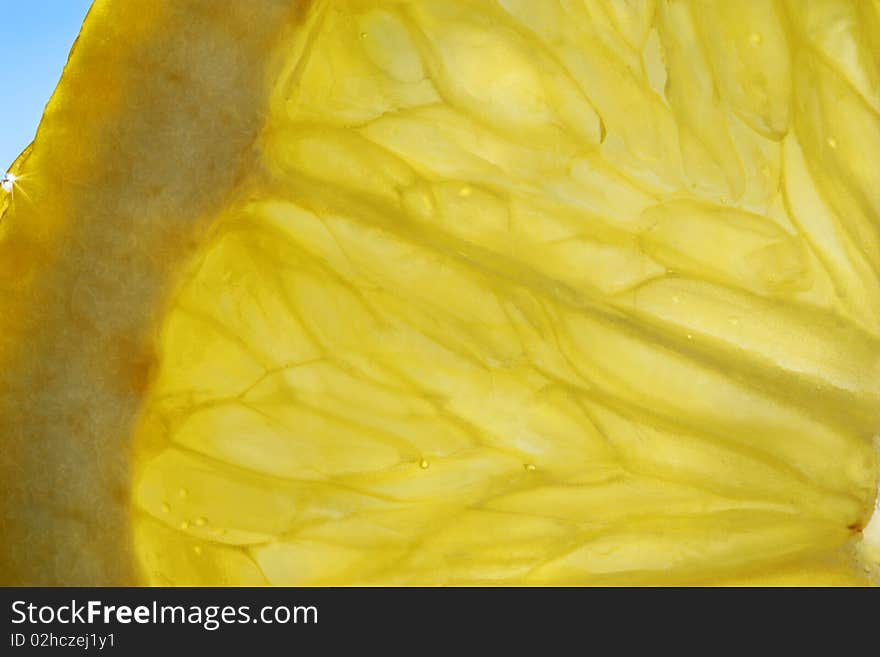 Slice of fresh juicy lemon close up. Slice of fresh juicy lemon close up