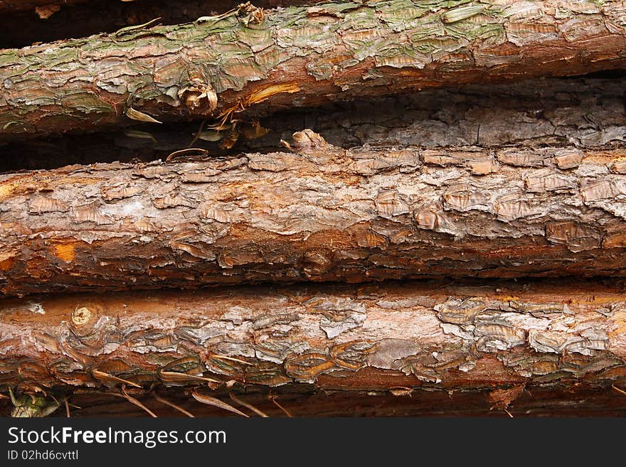 Logs of various sizes stacked in a pile