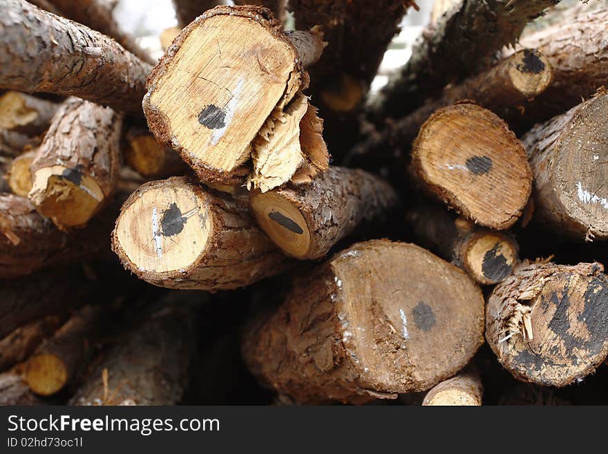 Logs of various sizes stacked in a pile