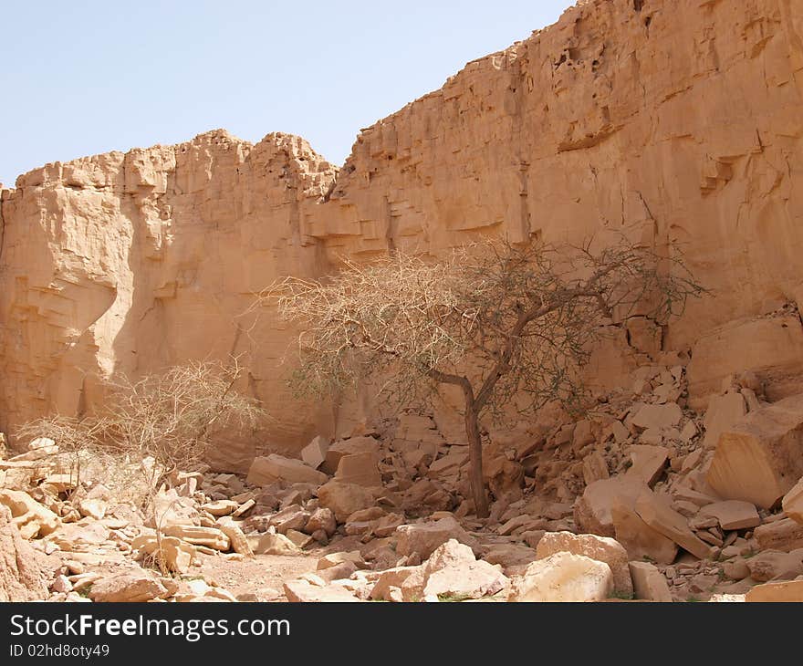 Desert landscape of Sinai Peninsula