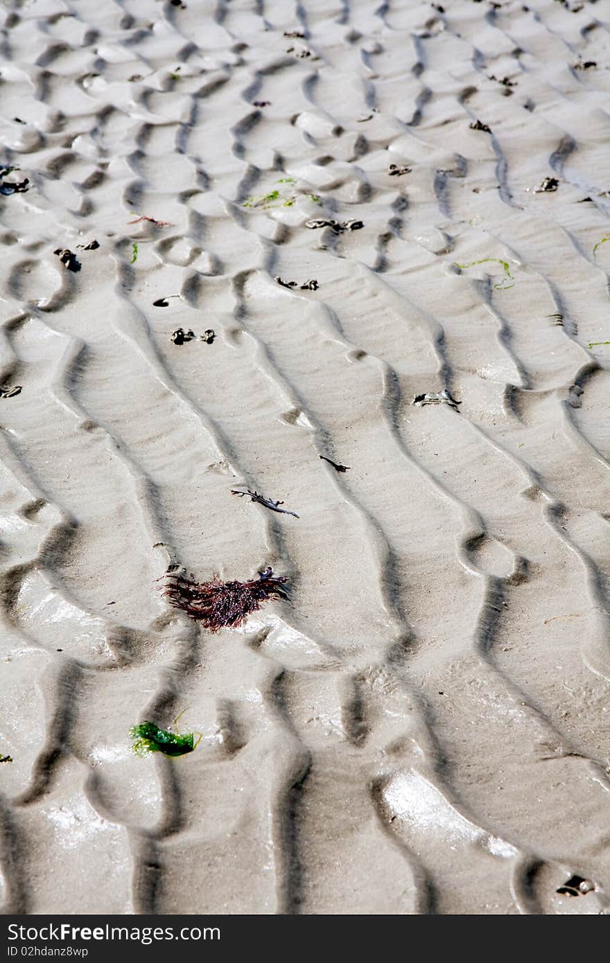 A ridged pattern in the sand made by the tide. A ridged pattern in the sand made by the tide.