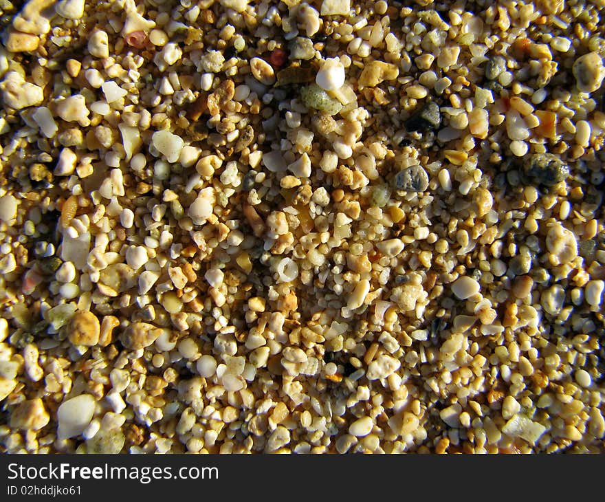 Background texture of coral and pebbles on a beach. Background texture of coral and pebbles on a beach