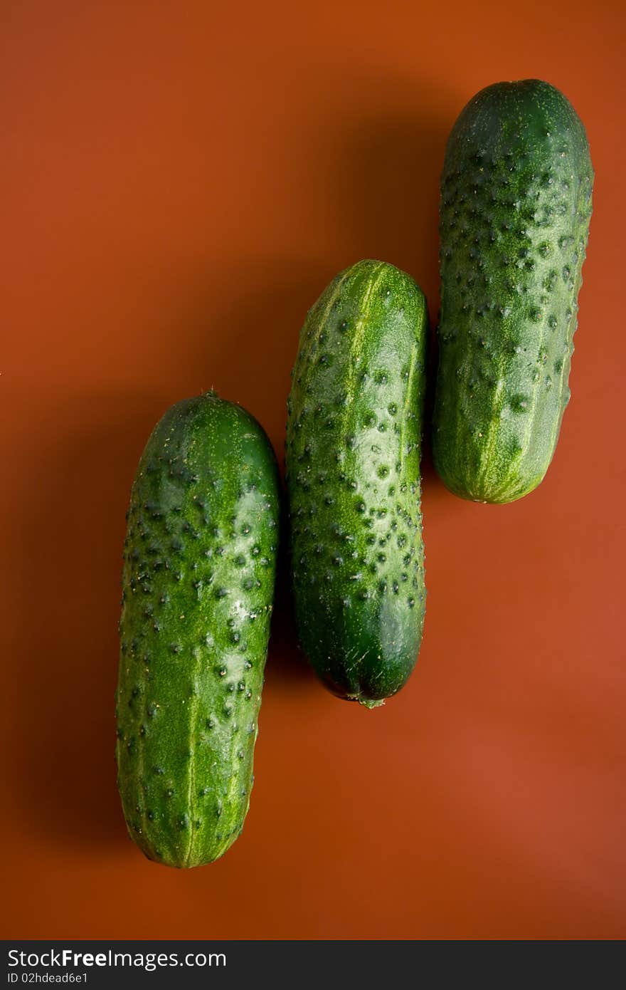 Cucumber