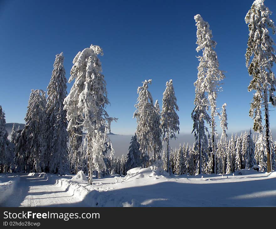 Snowy landscape Bohemian Forest suitable place for winter sports. Snowy landscape Bohemian Forest suitable place for winter sports.