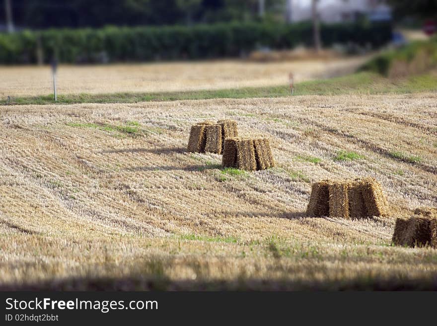 Plowed field with piles of hay