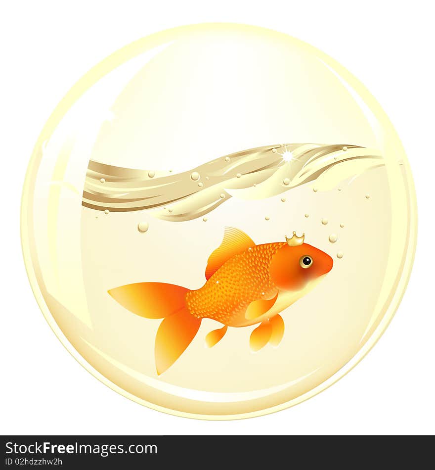 Glasses Ball With GoldFish In Water Inside, Isolated On white. Glasses Ball With GoldFish In Water Inside, Isolated On white