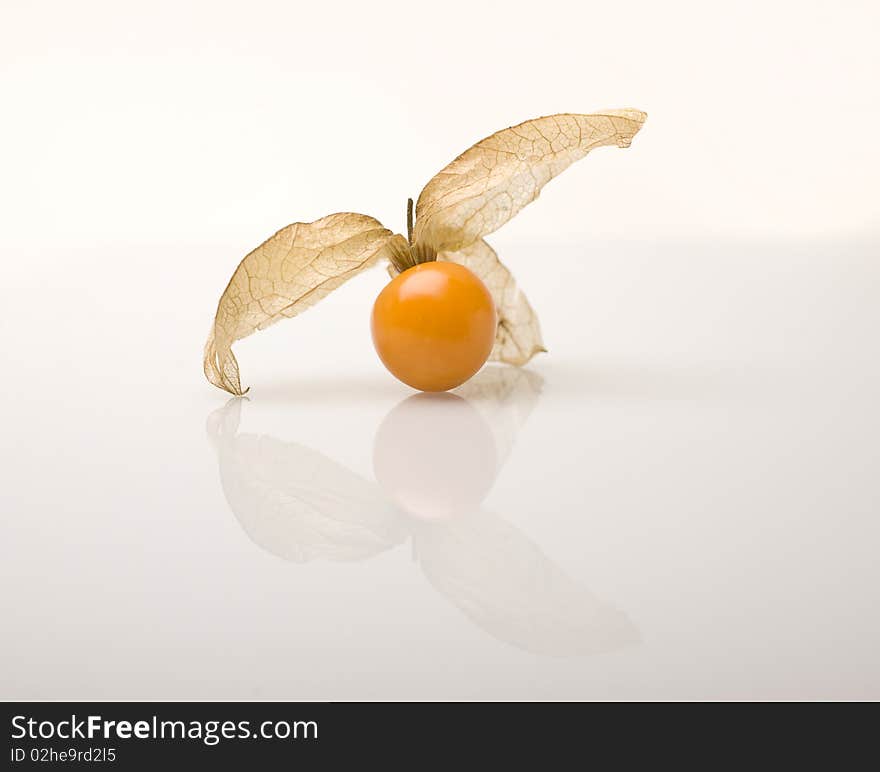 Cape Gooseberry (Physalis Peruviana)