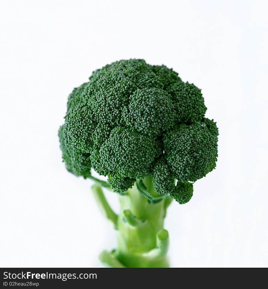 Broccoli on a white background