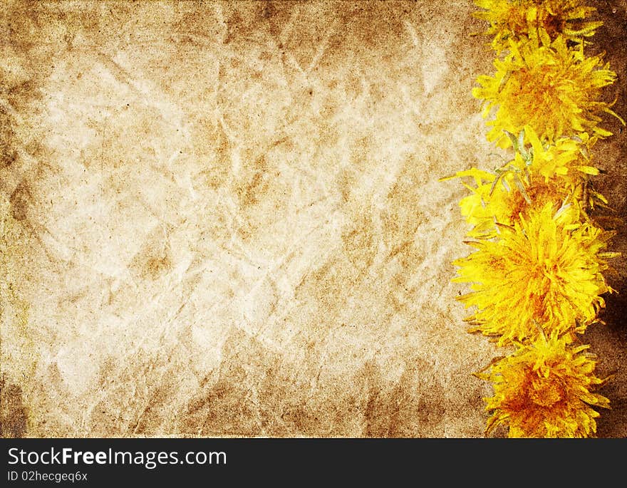 Grunge stained paper background with dandelions