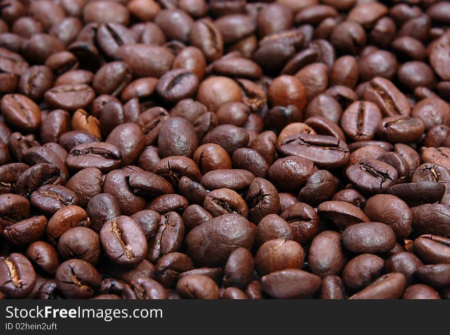 Fresh coffee bean