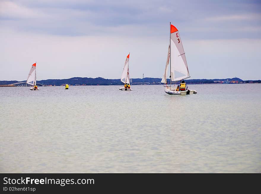 Several boats with sails