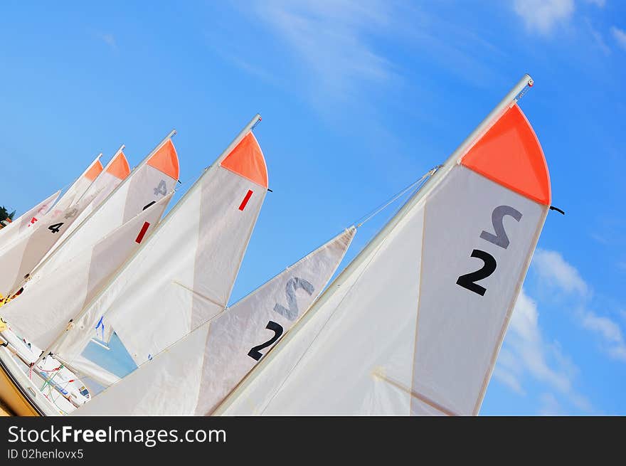 Several boats with sails standing in a row. as a symbol of teamwork in business