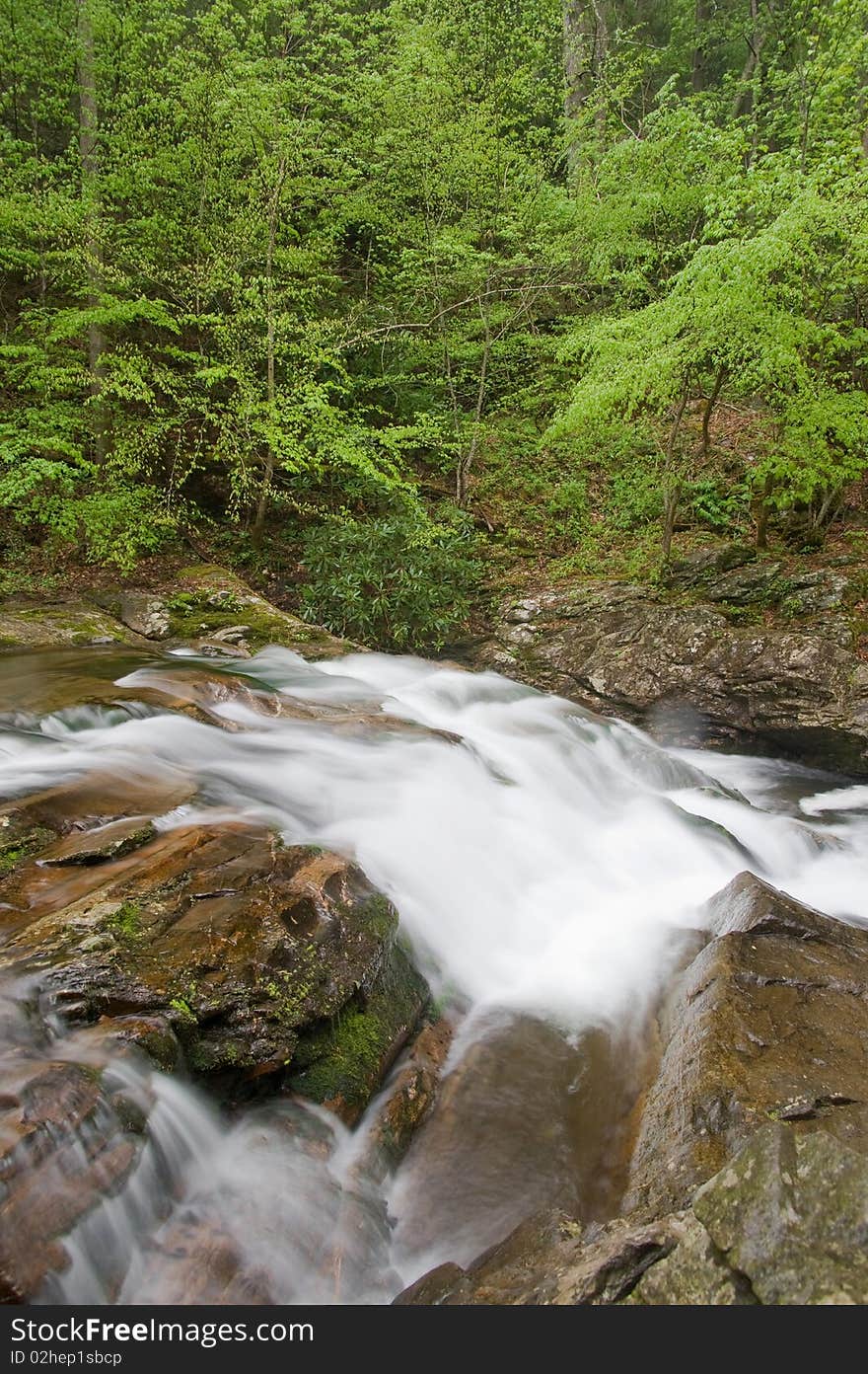 A fast moving stream flows through the forest in springtime,Smoky Mountains N.P., Tenn. A fast moving stream flows through the forest in springtime,Smoky Mountains N.P., Tenn.