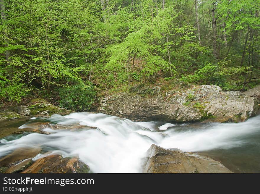 Fast flowing rapids on a stream in the forest,springtime,Smoky Mountains N.P., Tenn. Fast flowing rapids on a stream in the forest,springtime,Smoky Mountains N.P., Tenn.