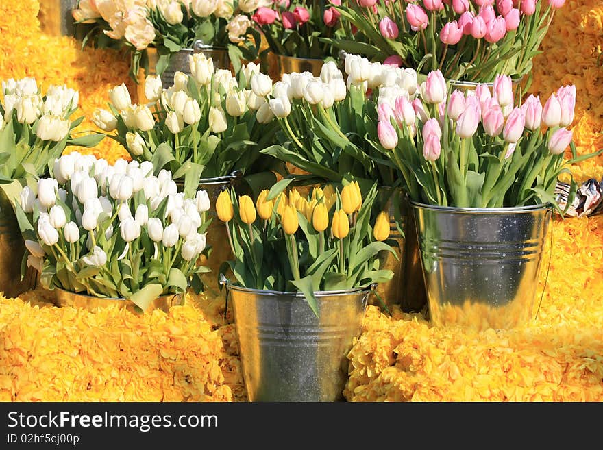 Bunches of tulips in metal buckets