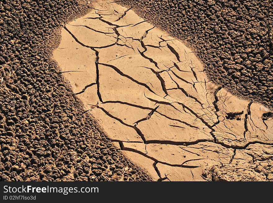 Shrinkage cracking in Arid Soil pattern of the nature