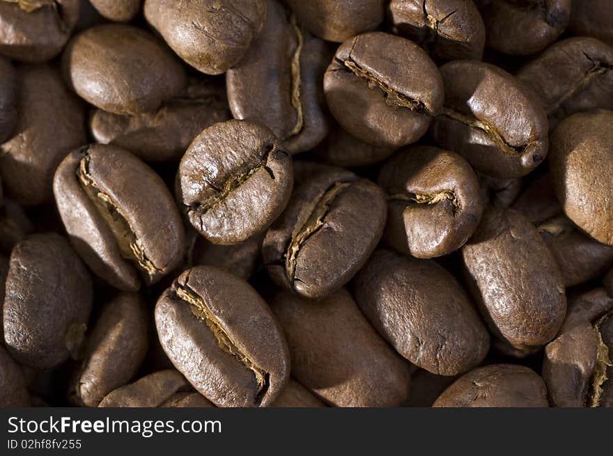 Coffee Beans Macro