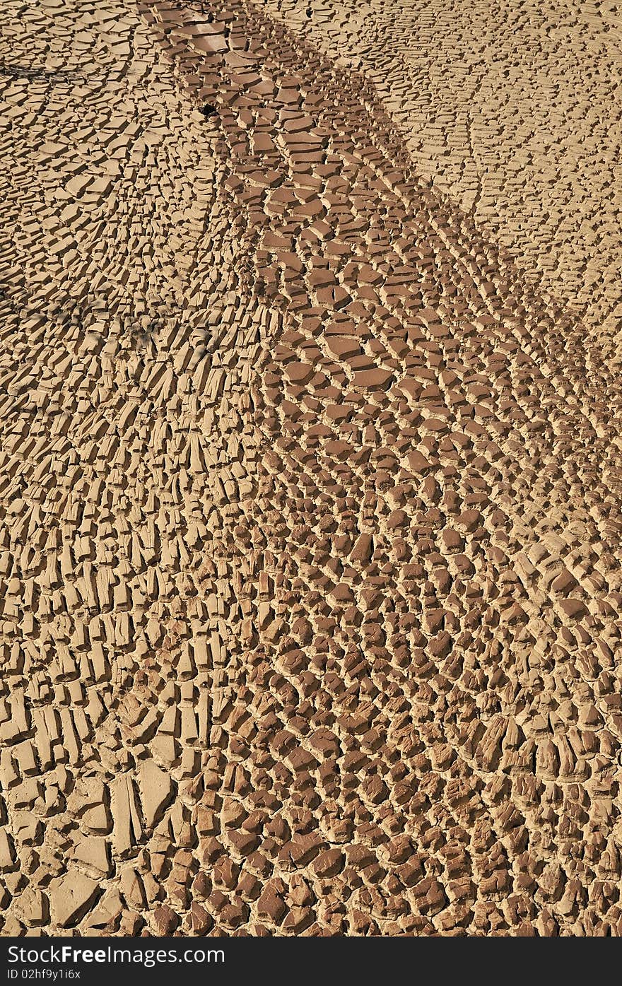 Shrinkage cracking in Arid Soil pattern of the nature