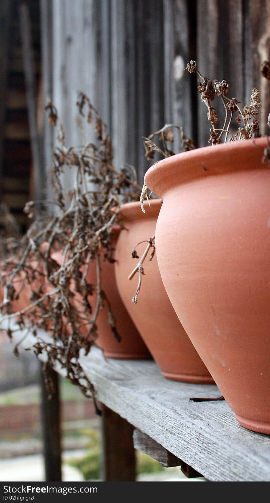 An artistic image of pottery on a wooden shelf. An artistic image of pottery on a wooden shelf.