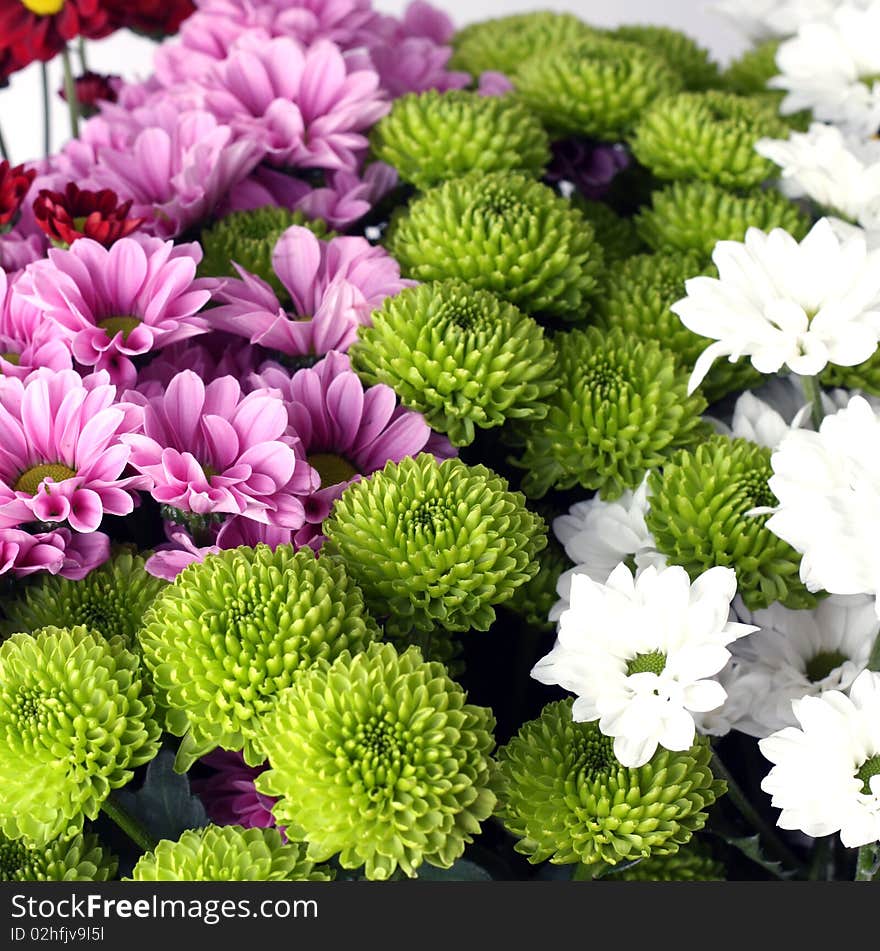 Meadow purple, green and white flowers. Meadow purple, green and white flowers