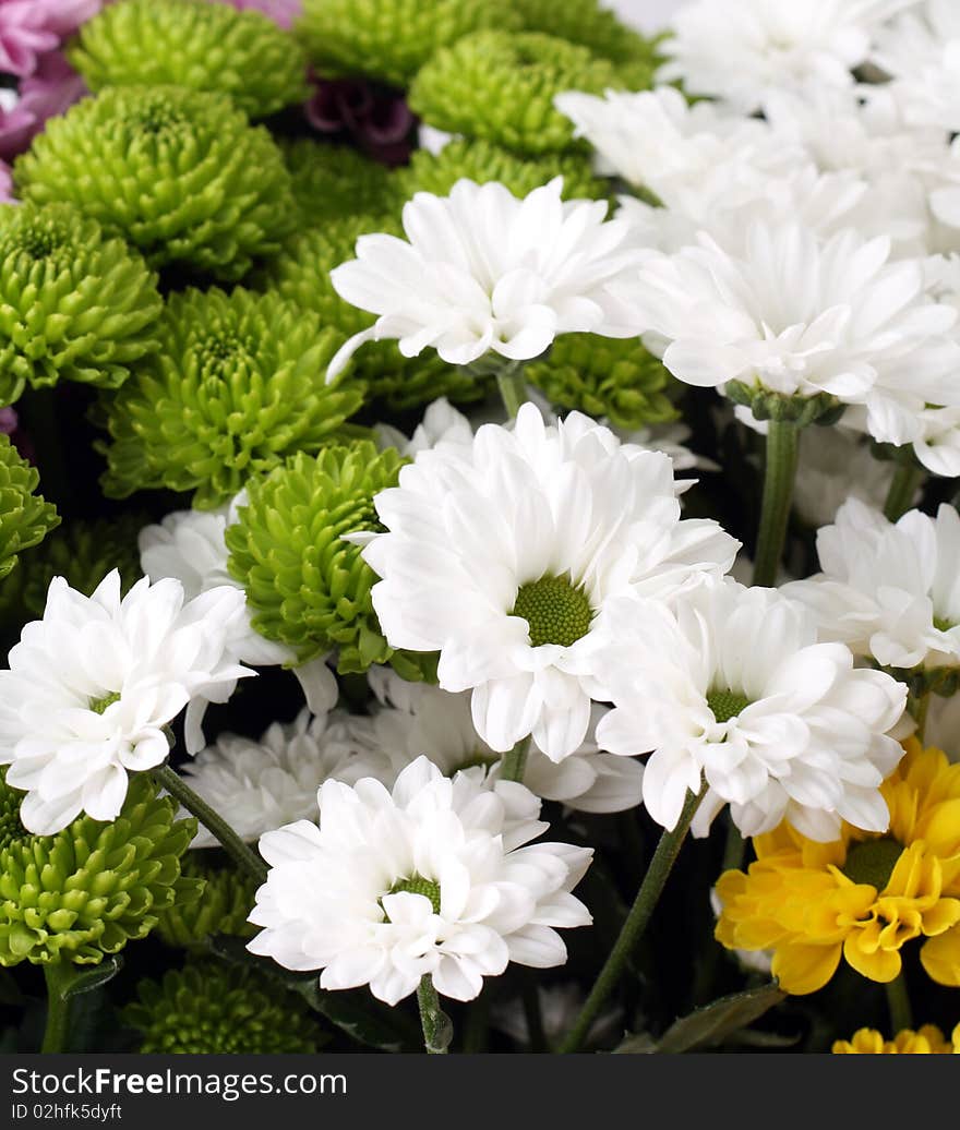 Flowers gathered on Spring Meadow. Flowers gathered on Spring Meadow