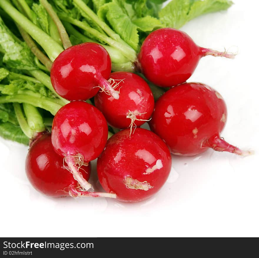 Fresh radishes on white background