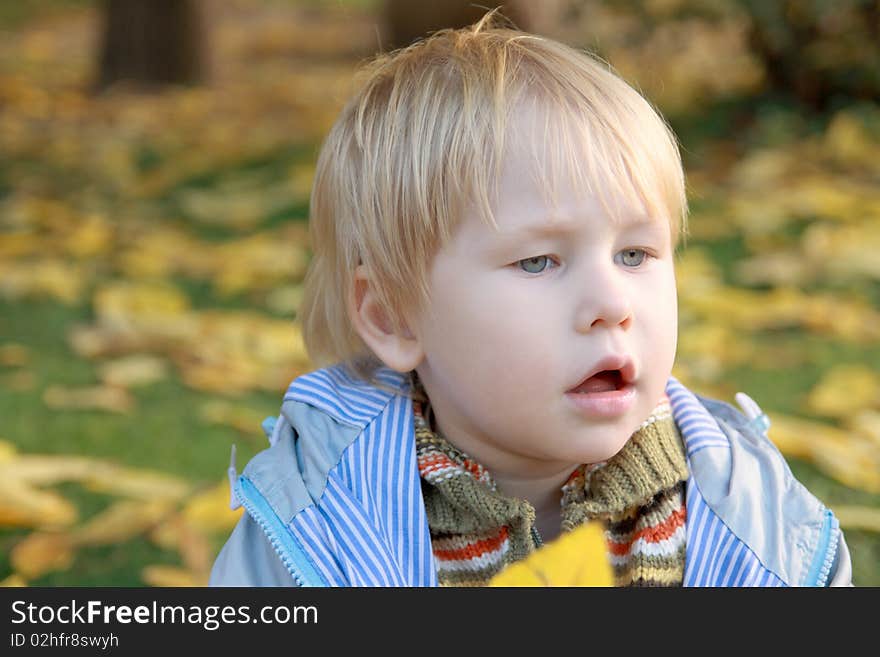 Portrait of a little boy, autumn. Portrait of a little boy, autumn.