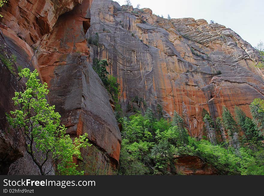 Oak Creek Canyon