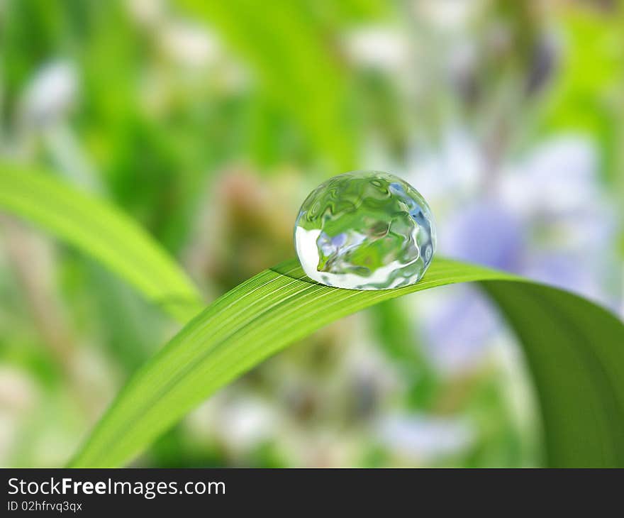 Waterdrop on a blade of grass.