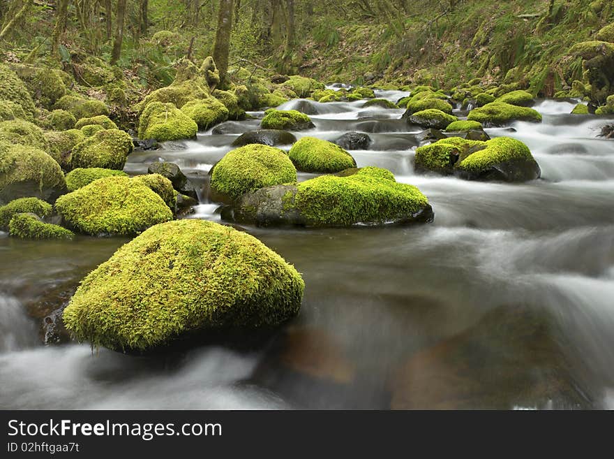 Mossy Rocks In Creek