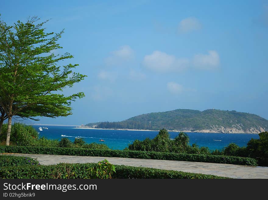 Beach as the sea of green and the background. Beach as the sea of green and the background