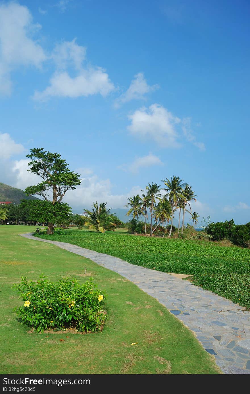 Stone path through the garden