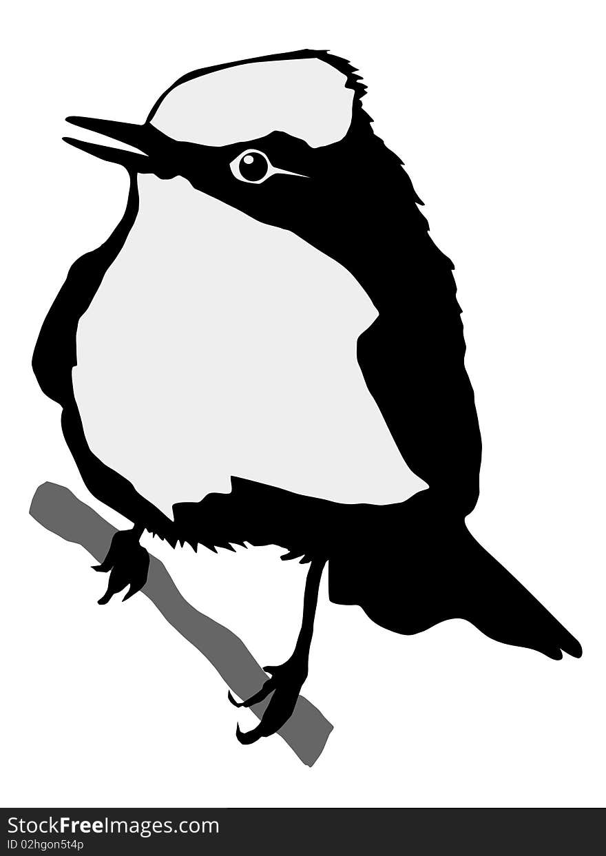 Vector black silhouette of flycatcher