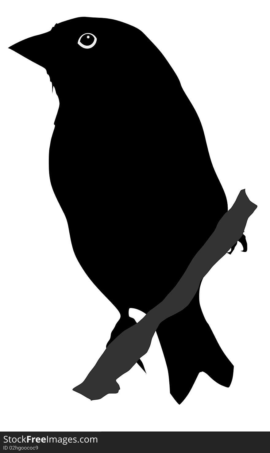 Vector black silhouette of greenfinch