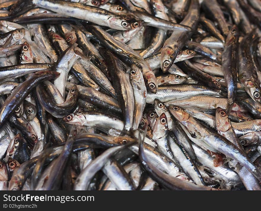 A pile of fresh sardines in a bucket