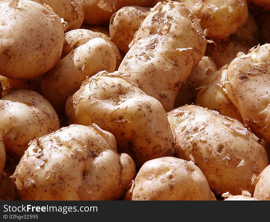 A background of a few potatoes. A background of a few potatoes