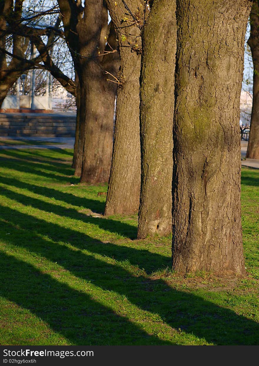 In evening the park was well shaded. In evening the park was well shaded