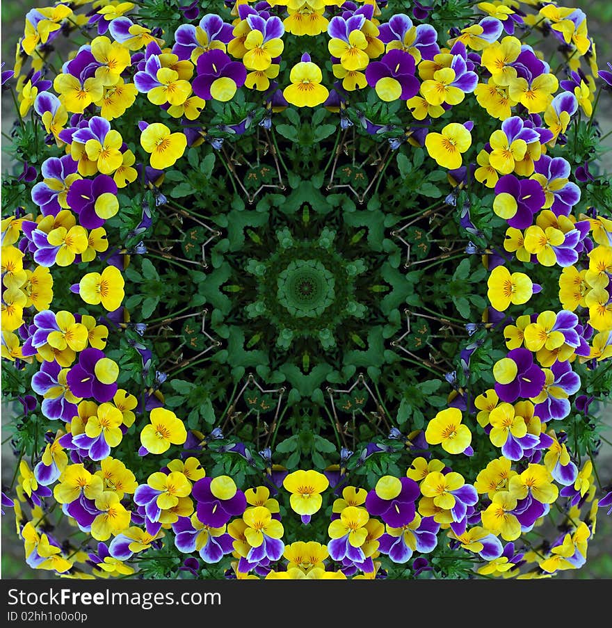 Yellow and purple viola flowers kaleidoscope. Yellow and purple viola flowers kaleidoscope.