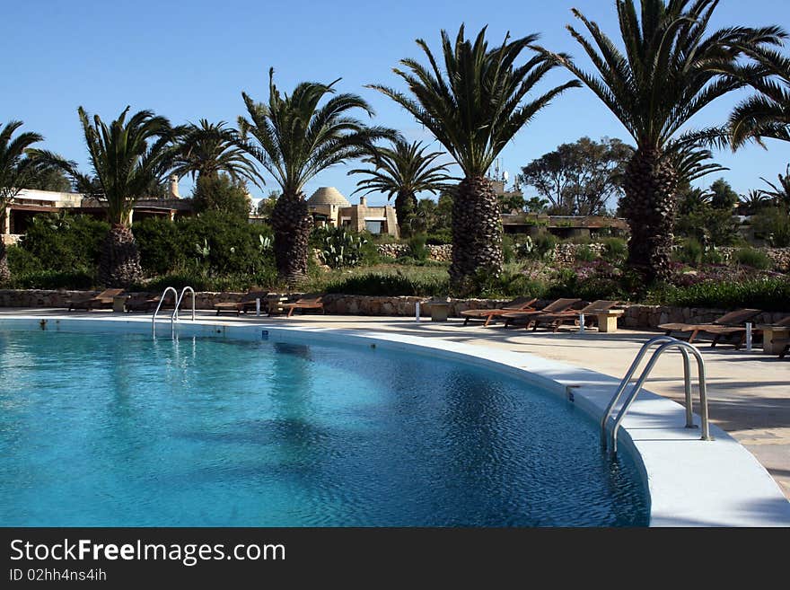 Poolside with palm trees and sunbeds. Poolside with palm trees and sunbeds